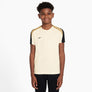 Dri-FIT Strike shirt