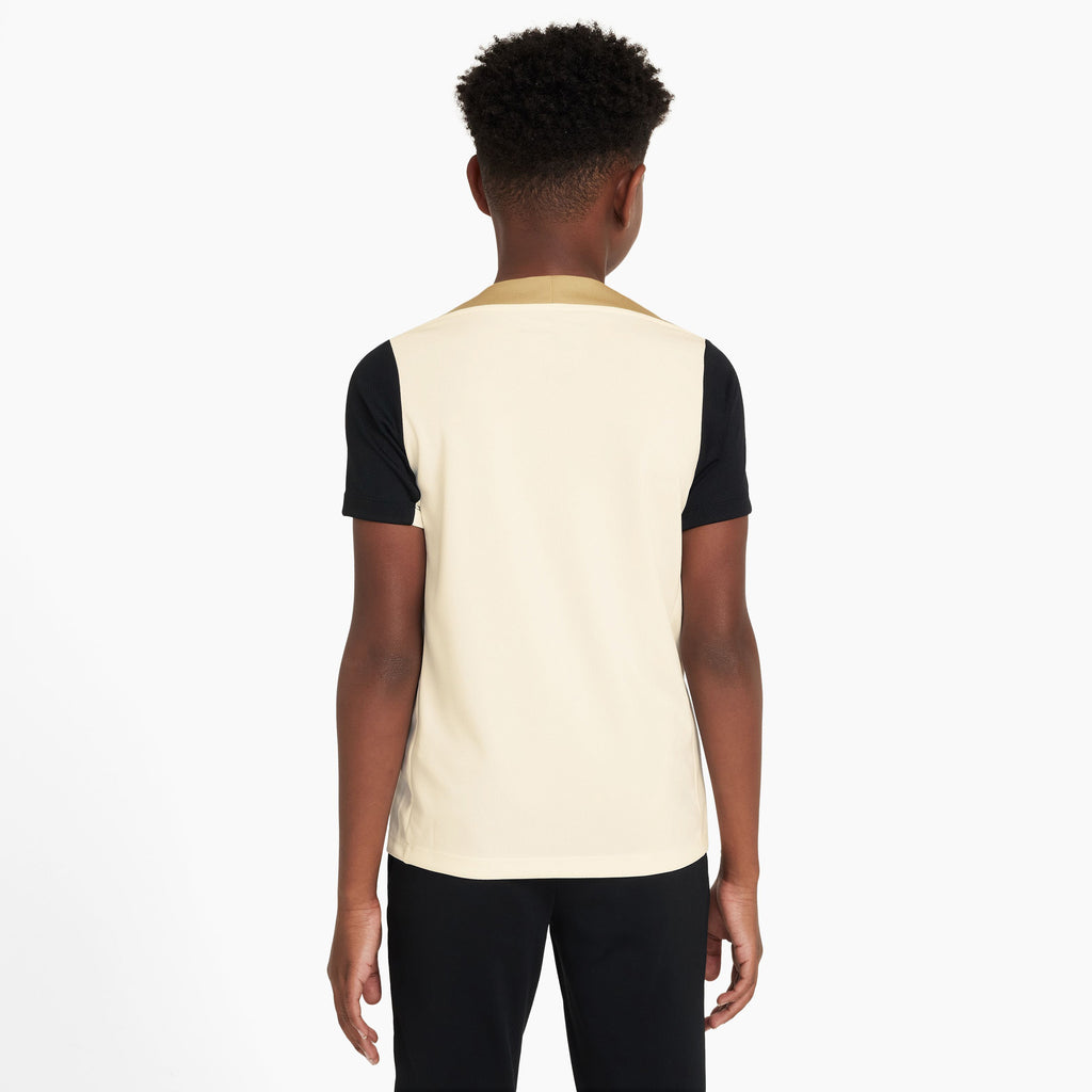 Dri-FIT Strike shirt
