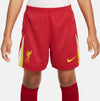 Liverpool FC 2024/2025 Stadium Thuis tenue