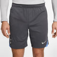 Tottenham Hotspur FC Strike Knit short 24/25