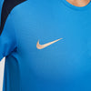 Chelsea FC Dri-FIT Strike top 24/25