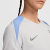 Tottenham Hotspur FC Dri-FIT Strike top 24/25