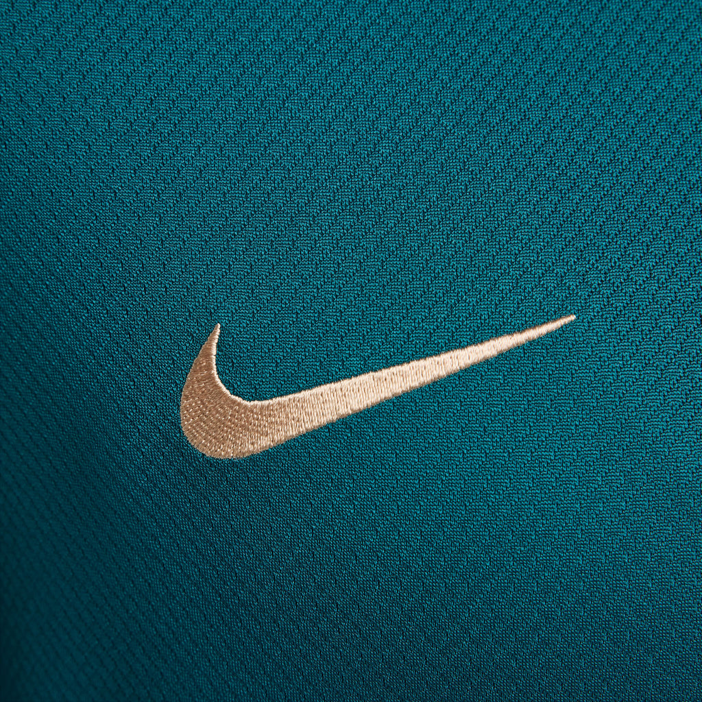 Paris Saint-Germain Dri-FIT Strike top 24/25