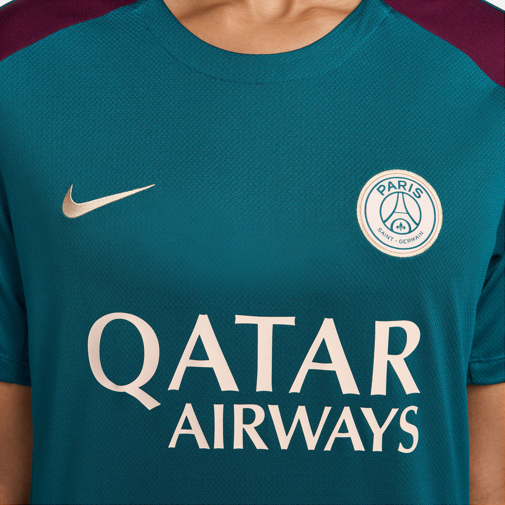 Paris Saint-Germain Dri-FIT Strike top 24/25