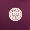 Paris Saint-Germain Dri-FIT Strike top 24/25