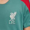Liverpool FC Dri-FIT Strike kids top 24/25