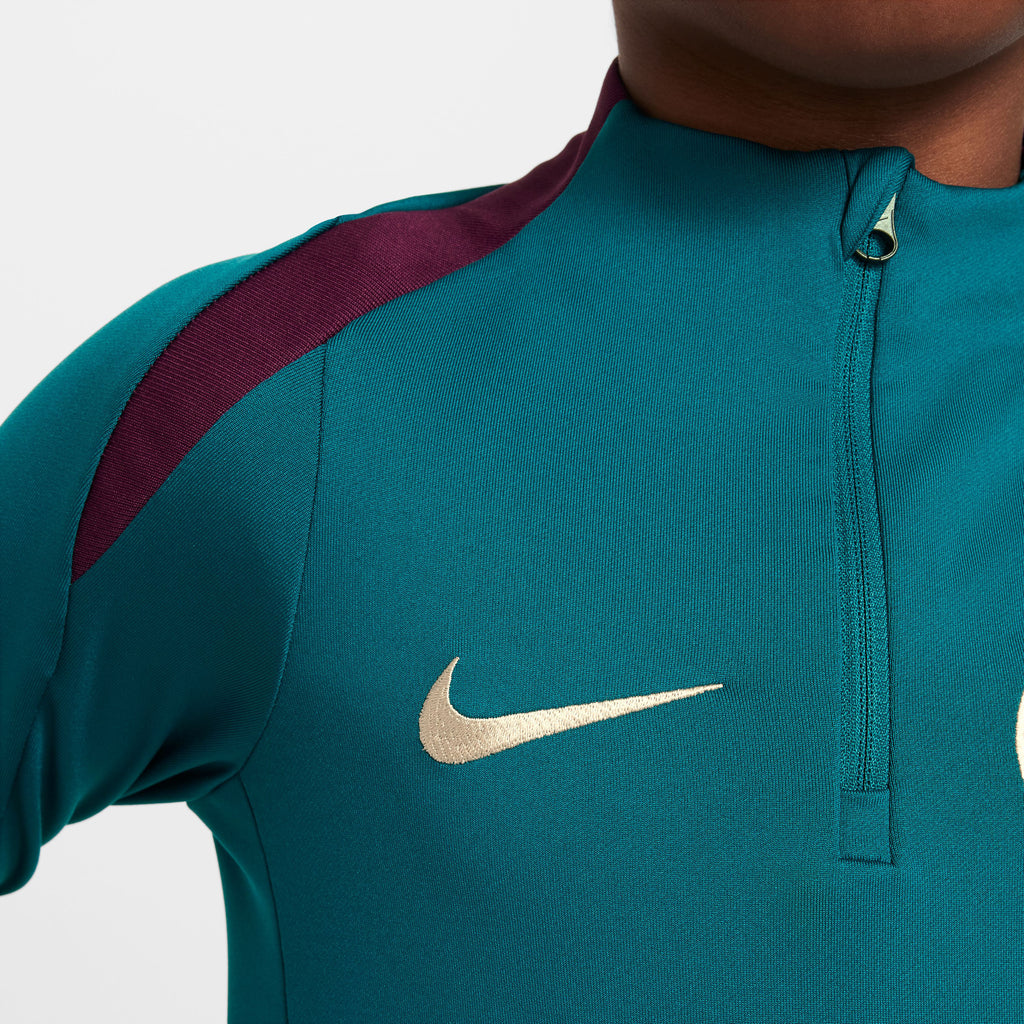 Paris Saint-Germain Strike shirt 24/25