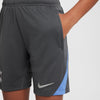 Tottenham Hotspur FC Strike Knit short 24/25