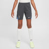 Tottenham Hotspur FC Strike Knit short 24/25