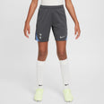Tottenham Hotspur FC Strike Knit short 24/25
