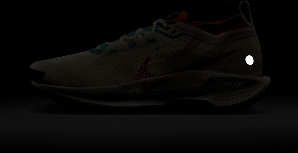 Pegasus Trail 5 gore-tex hardloopschoenen