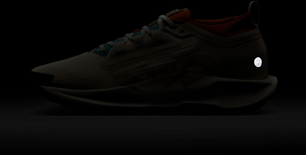Pegasus Trail 5 gore-tex hardloopschoenen