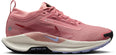 Pegasus Trail 5 gore-tex hardloopschoenen