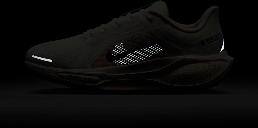 Pegasus 41 Gore-tex hardloopschoenen