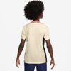 Paris Saint-Germain Dri-FIT Strike kids top 24/25
