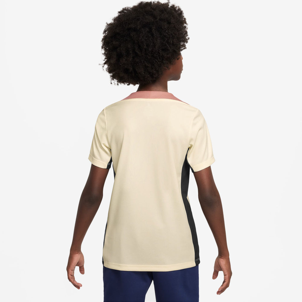 Paris Saint-Germain Dri-FIT Strike kids top 24/25