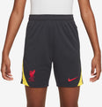 Liverpool FC Strike kids short 24/25