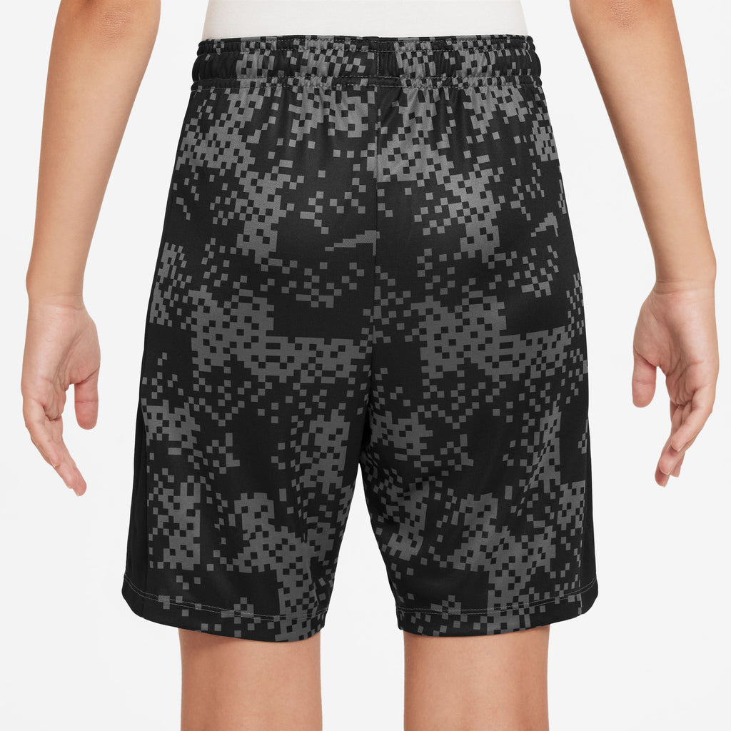 Academy+ Dri-FIT short