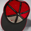 Jordan Jumpman Pro Adjustable pet
