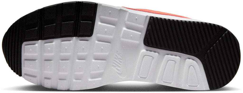 Air Max sneakers