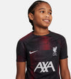 Liverpool FC Dri-FIT kids top