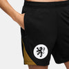 Netherlands Dri-FIT Strike short