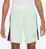CR7 Academy 23 short