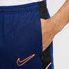 Academy Dri-FIT broek