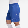 Academy Dri-FIT short