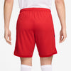 Academy Dri-FIT short