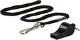 Lanyard 101 fluit