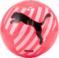 Big Cat voetbal