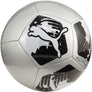 Big Cat voetbal
