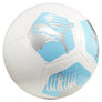Big Cat voetbal