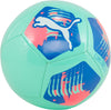 Big Cat voetbal
