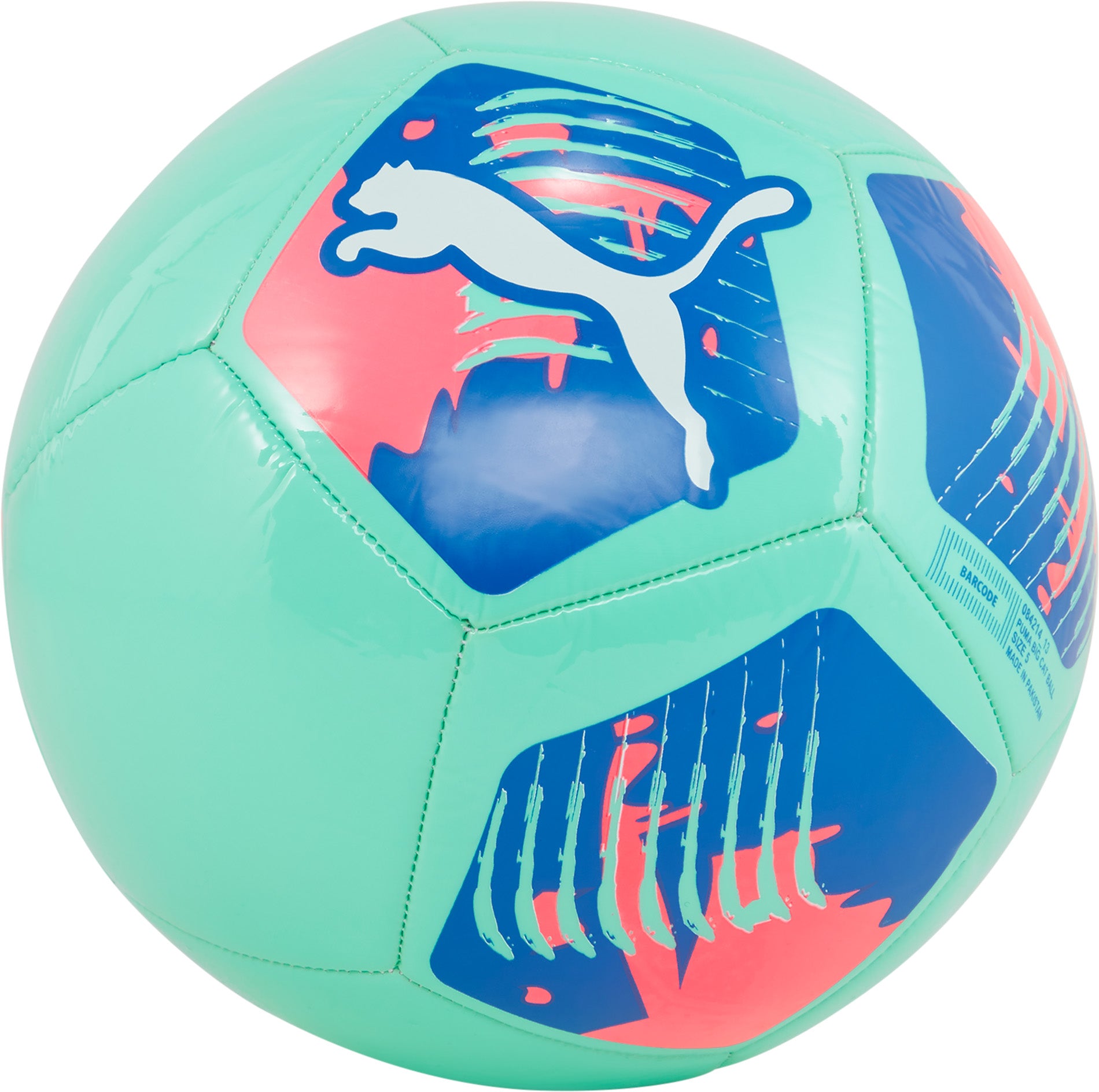 Big Cat voetbal