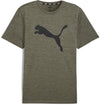 Train Fav Heather Cat shirt
