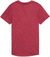 Tad Essential Heather t-shirt