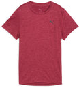 Tad Essential Heather t-shirt
