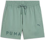 Cloudspun branded 5 short
