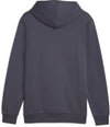 Essential Big Logo hoodie