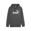 Essential Big Logo hoodie