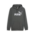 Essential Big Logo hoodie