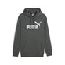 Essential Big Logo hoodie