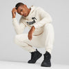 Essential Big Logo hoodie