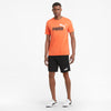 Ess short