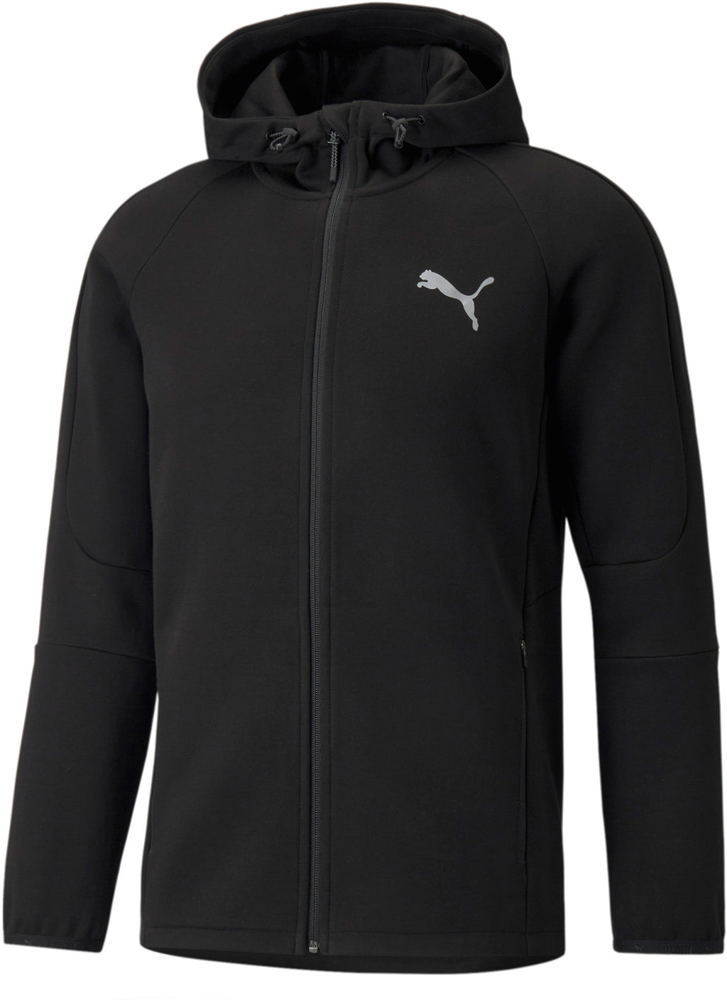 Evostripe Full-Zip hoodie