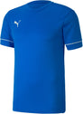 Teamgoal Training shirt
