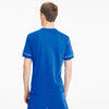 Teamgoal Training shirt