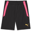 TeamLIGA trainingsshort